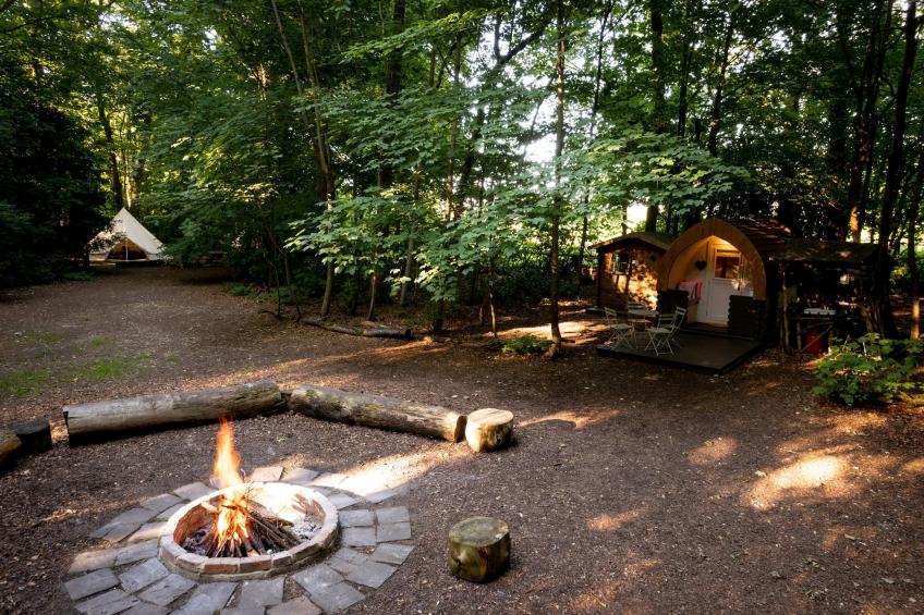 Bluebelle Glamping Pod - foto 19