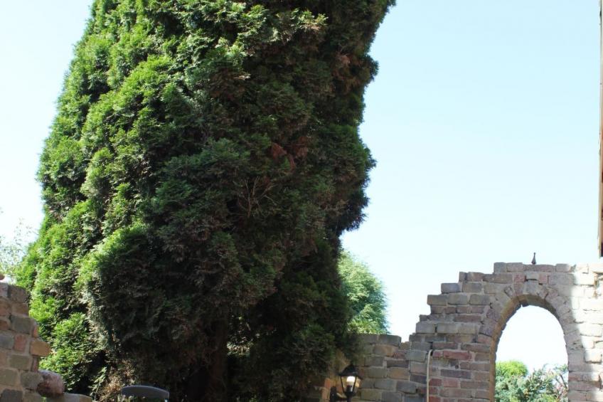 Ferienchalet "Uylennest" - foto 24