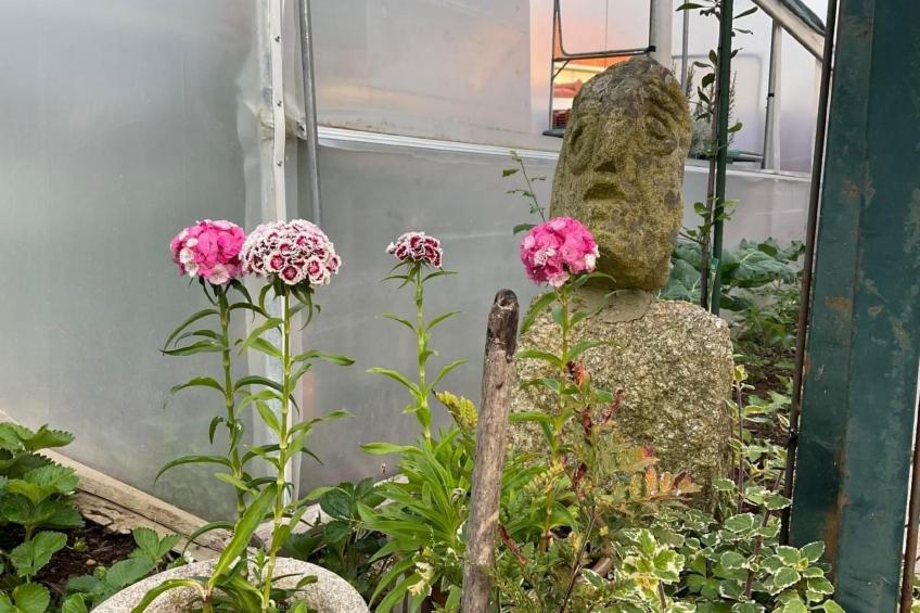 Casa da Guilheta - foto 37