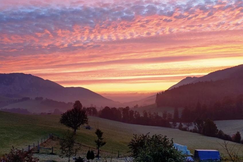 Schafmatthof 1 Obergeschoss - foto 19