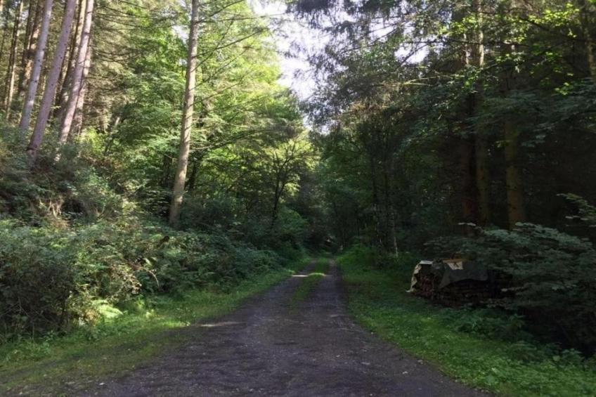 Pilmeroth 20 - foto 39