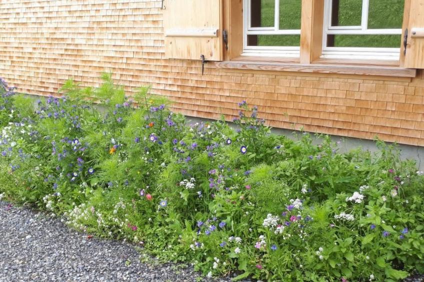 Haus Lauften - foto 13