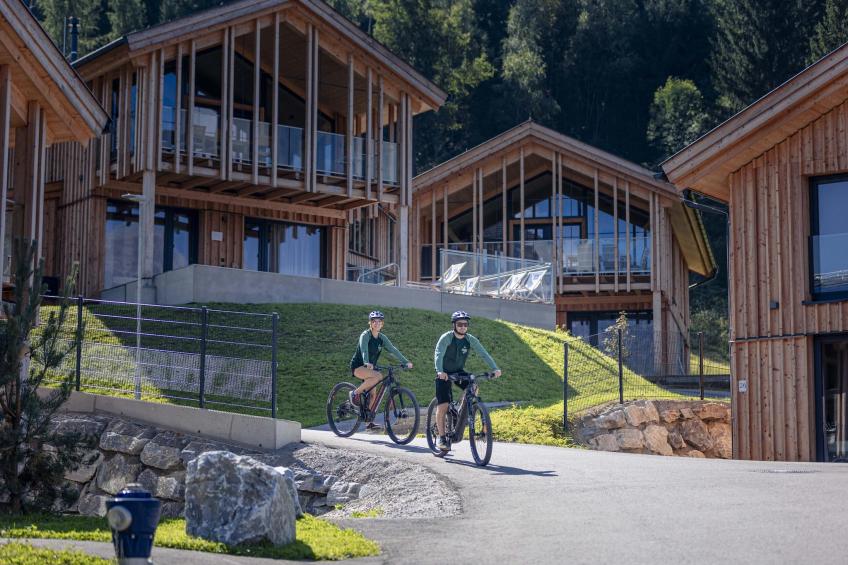 Premium Ferienhaus mit 4 Schlafzimmern Sauna & Pool - foto 6