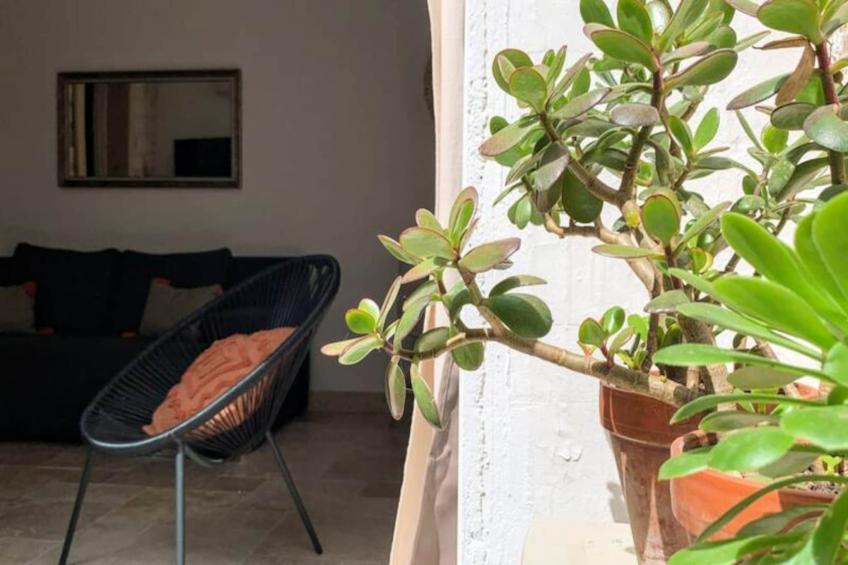 La Terrasse Bazille - foto 50