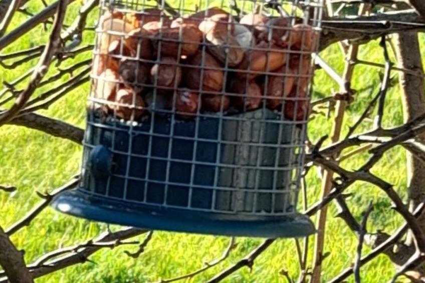 "Der Kornspeicher" mit Terrasse - foto 17