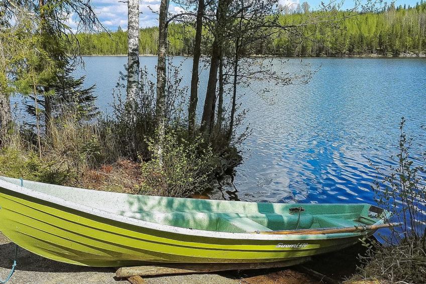 Aamunsarastus - foto 11