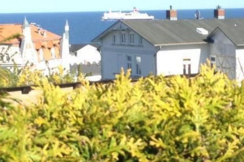 Strandläuferle - foto 19