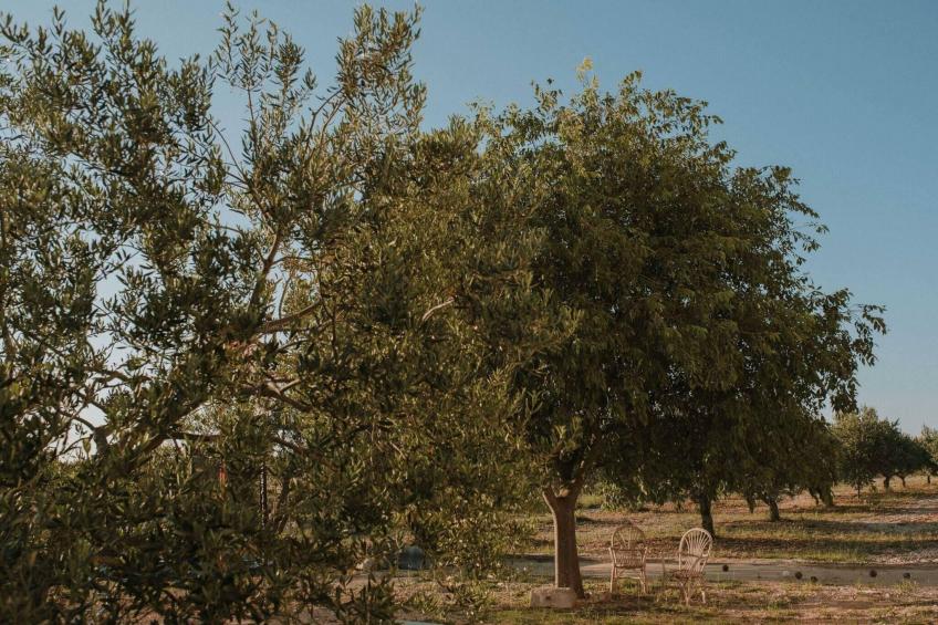 Authentic Villa Storia - foto 48