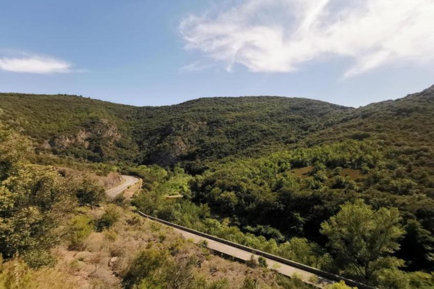 Domaine Courniou - foto 36