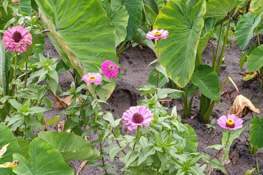 National Park View - foto 20