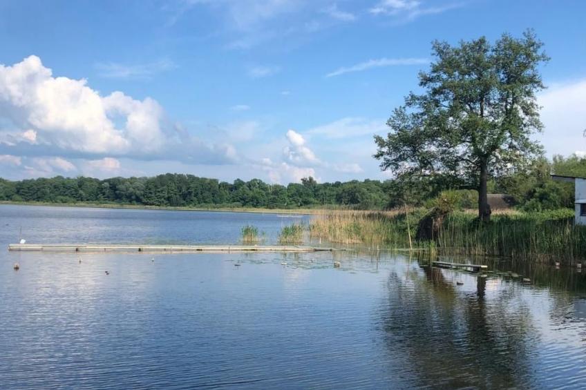 in Dahmen Terrasse und Grill - foto 26