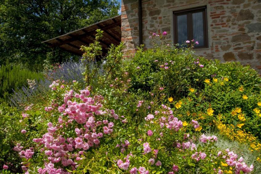 Wohnung in Figline Valdarno mit Gemeinschaftspool - foto 34