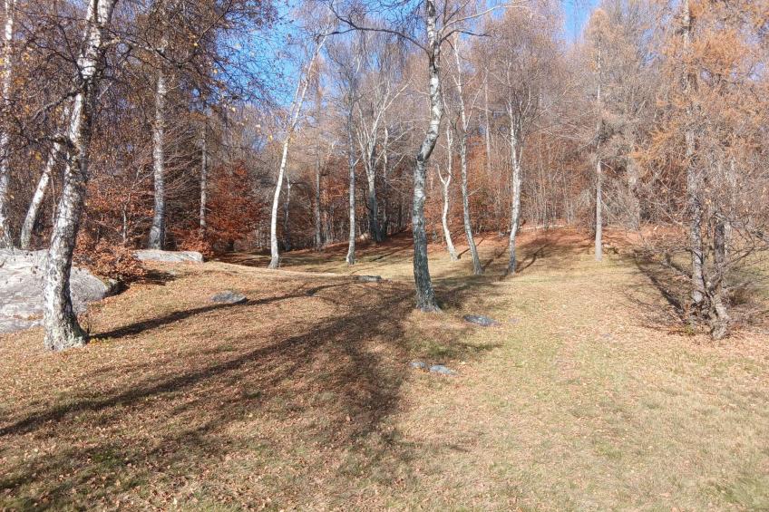 Monti di Motti Ferienhaus inmitten der Natur - foto 17