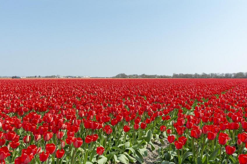 Wijde Blick 307 - foto 12