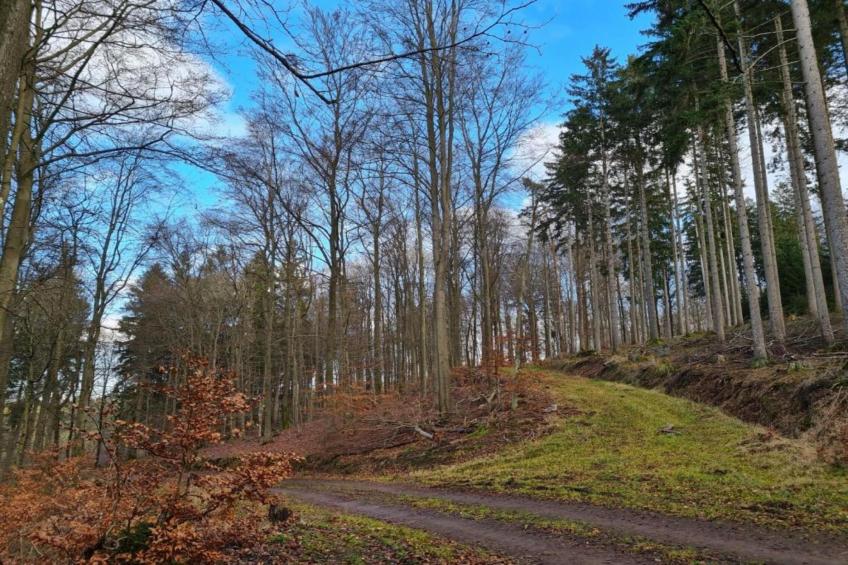Ferienhaus Steinbach-Hallenberg - foto 40