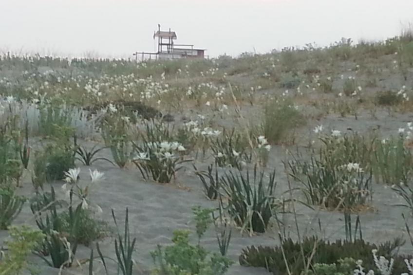 Apartment Zeus Apollo mit mölierter Terrasse - foto 12