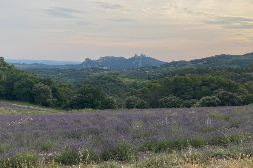 Le Mas d'à côté - foto 27