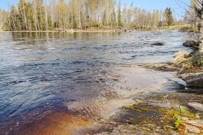 Nurmes, käpälysmökki - foto 10