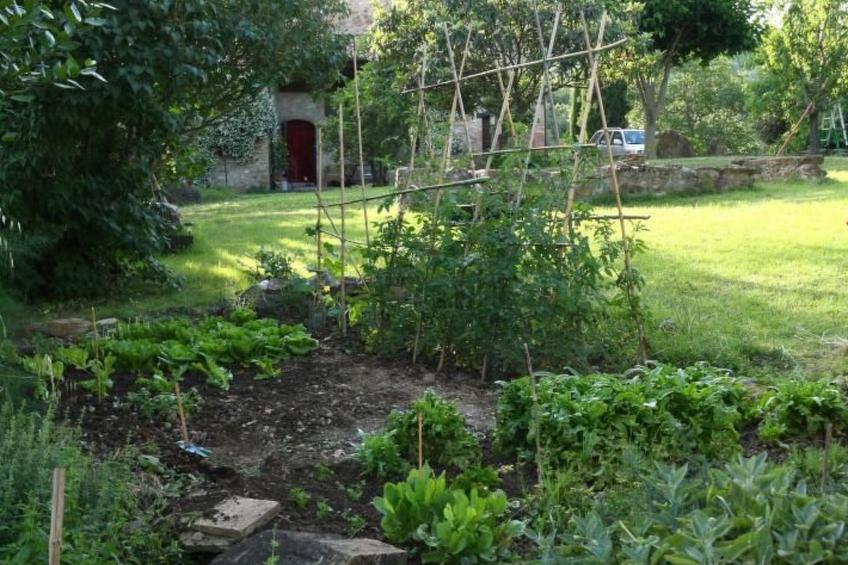 Studio mit Balkonblick ins bergige Grüne - foto 14