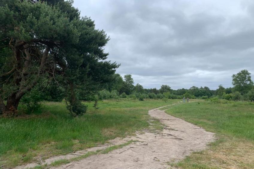 De Veluwse Hoevegaerde 2 - foto 22