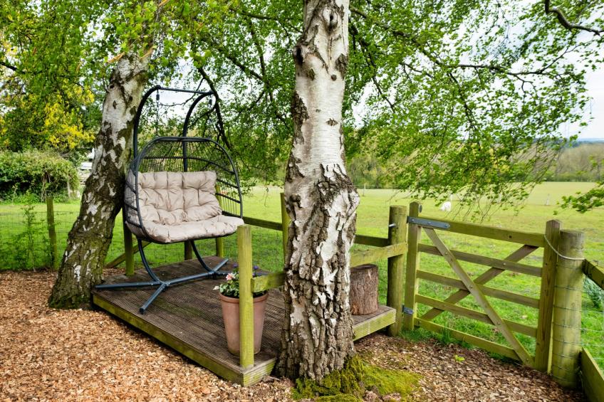 Hay and Hedgerow Glamping - foto 13