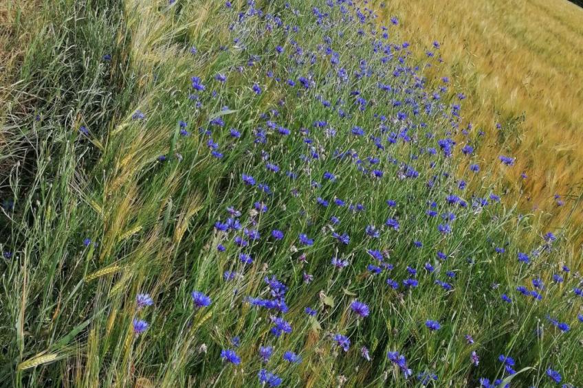 Appartement mit Terrasse - foto 33