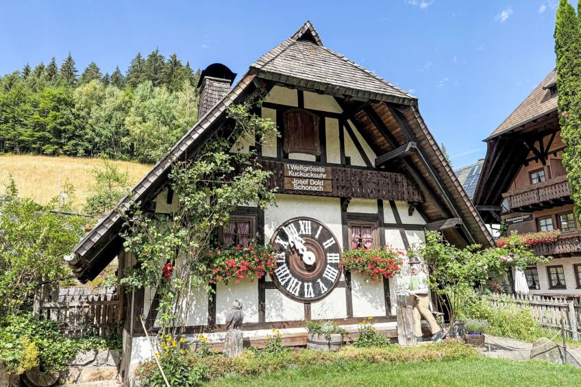 Schwarzwaldblick - foto 18