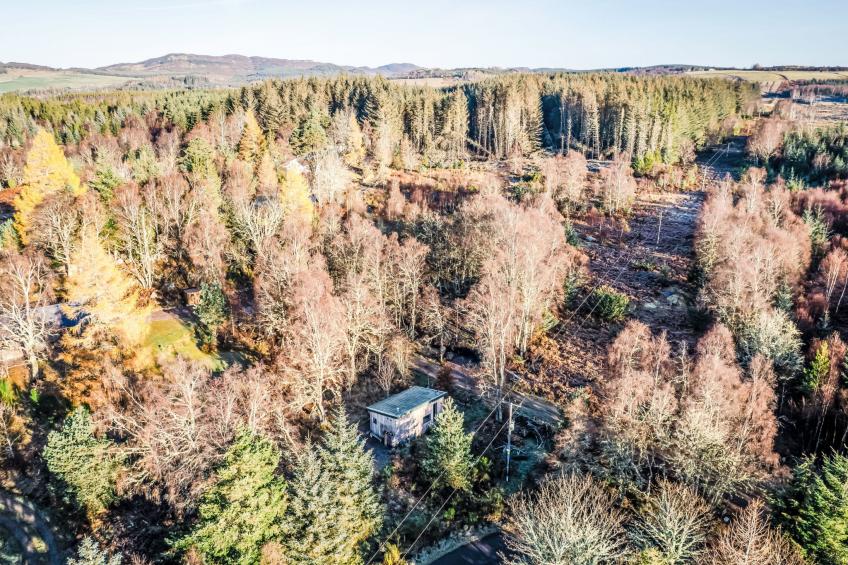 G-Wilderness Cabin - foto 4