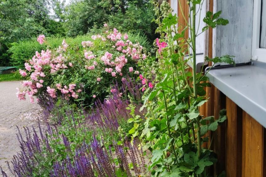 Janet Ratschkowski - foto 43