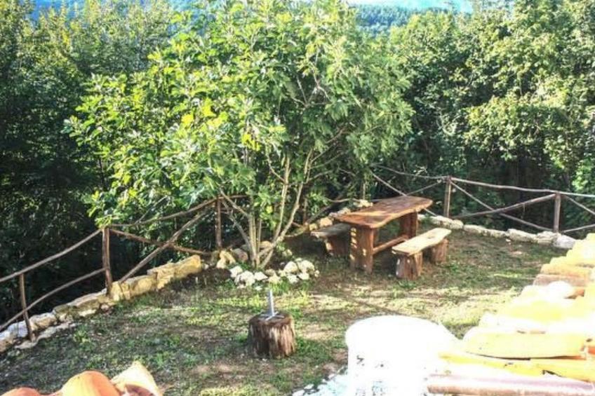 Unabhängige Wohnung, mitten im Grünen des Berges und des Sees, 80 km von Ost-Ro - foto 28
