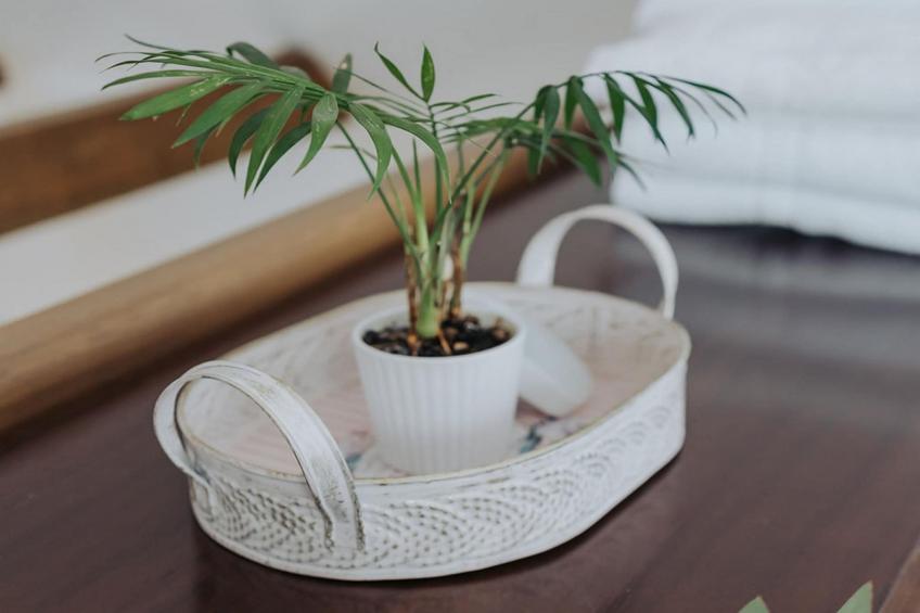 Enchanted Misty Valley Cottage Apartments - Standard One Bedroom Apartment (owner 3) - foto 15