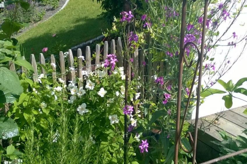 Villa Romantica - foto 27