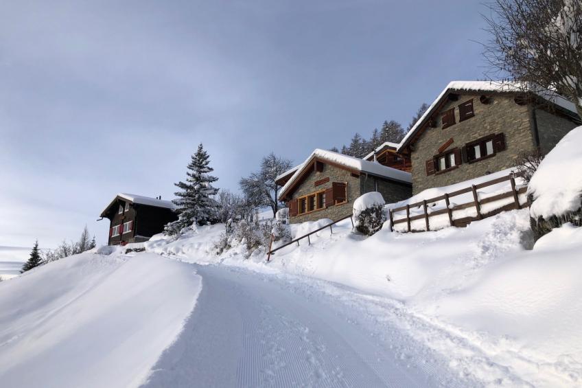 Tiny House facing the Alps - Ski in and out - foto 21
