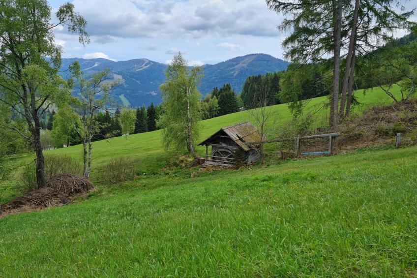 Der Kristall Top 5 - foto 13