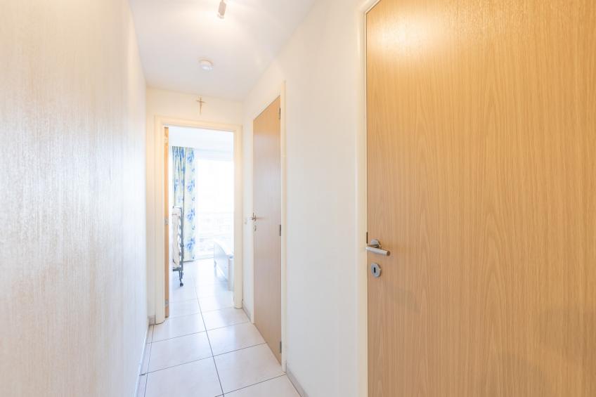 Viking 0508 - foto 9