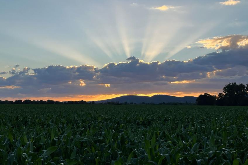 Blickweite - foto 14