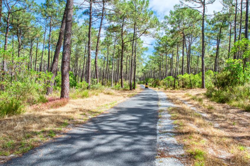 Etoile de Mer - foto 20