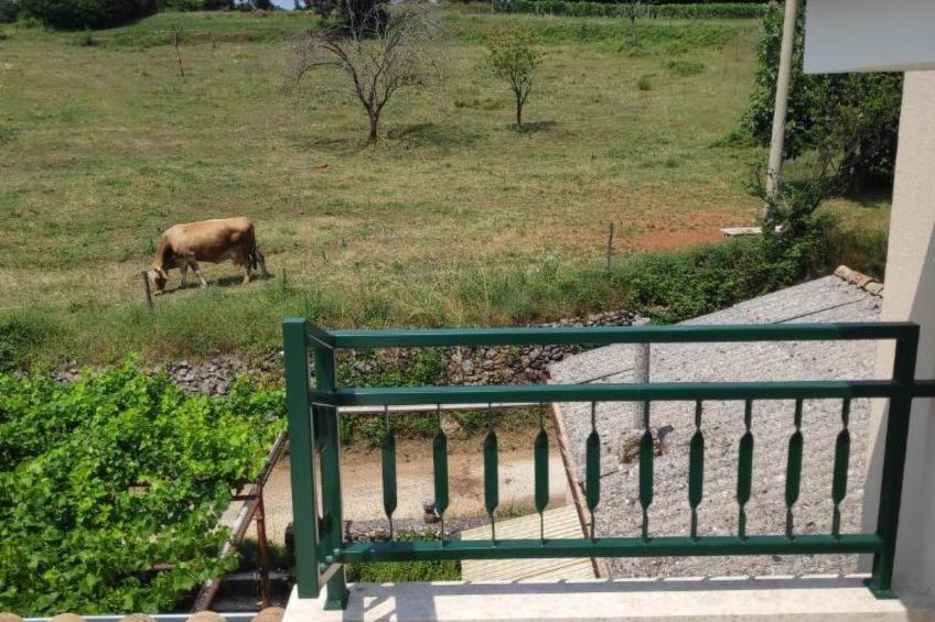 House Perina hiža - foto 3