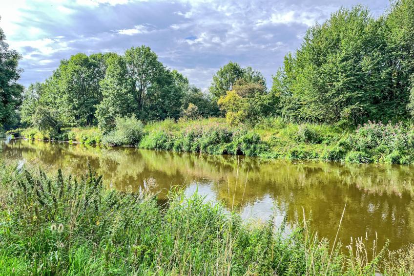 Ferienhaus Inge & Henry an der Werra - foto 39