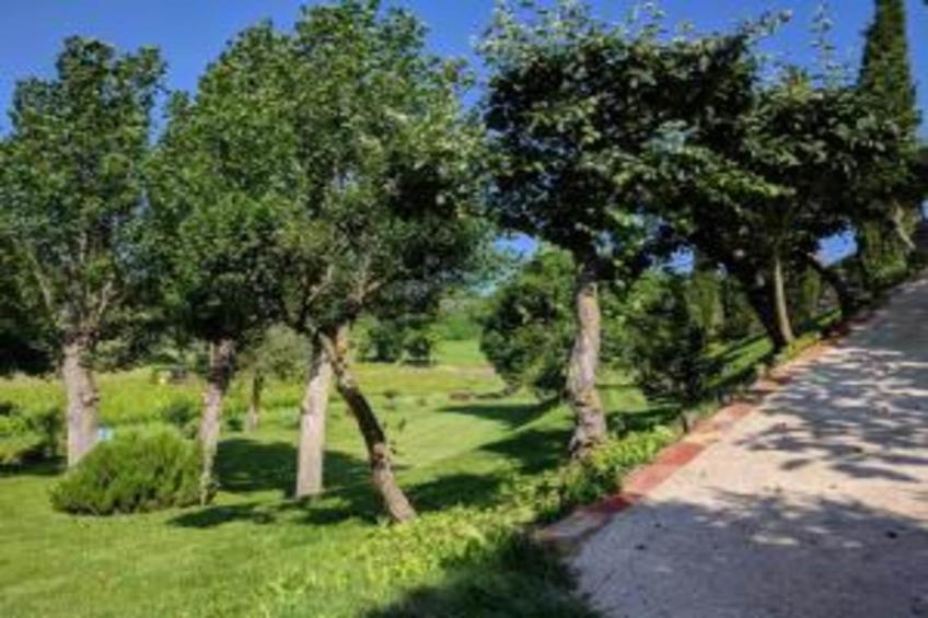 Poggio Casale - foto 29