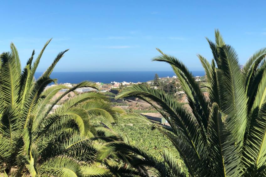 Villa los palmitos Familiäre Privatvilla mit Pool - foto 53