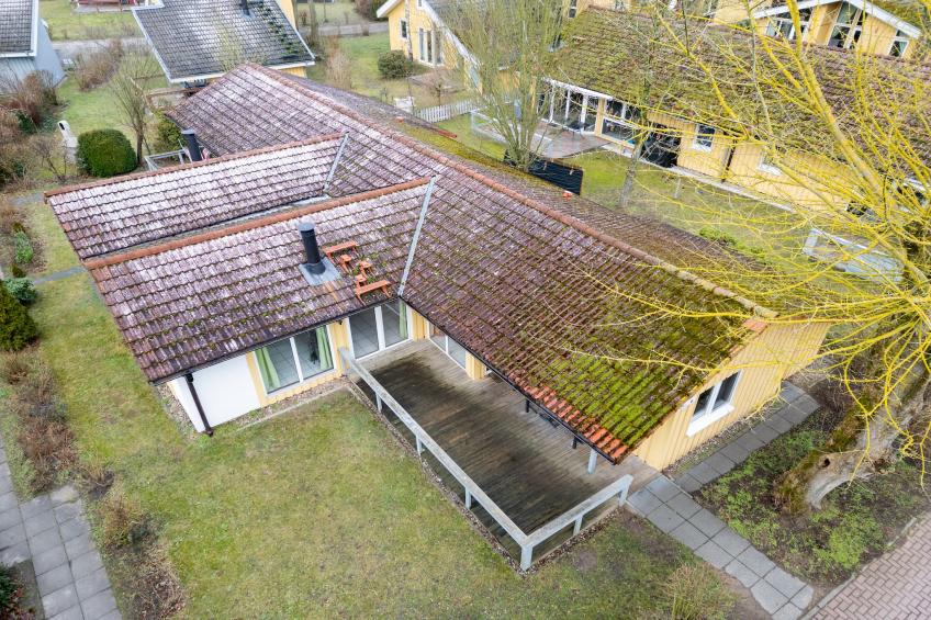 Reiher 24 - foto 22