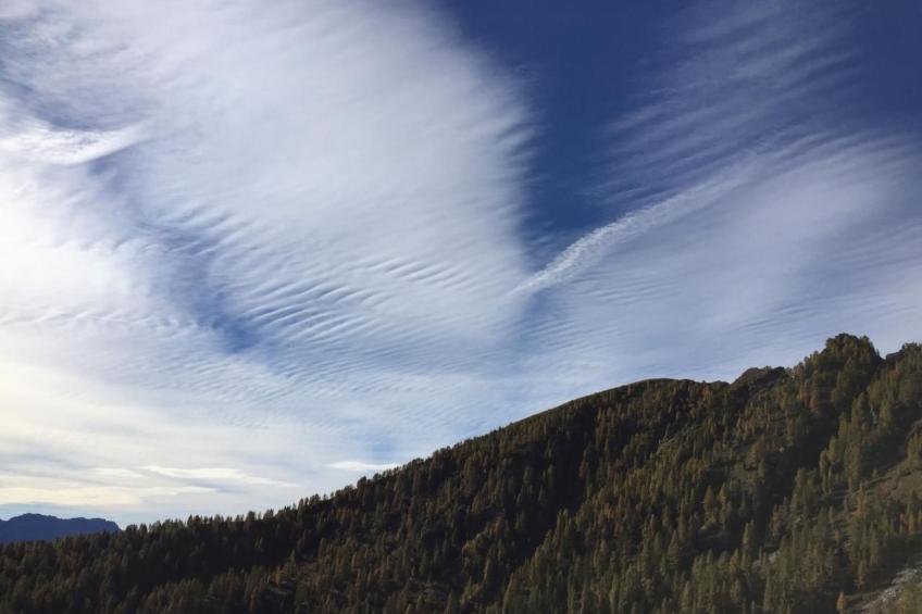 Rustico di vacanza nel nucleo di Moghegno - foto 42
