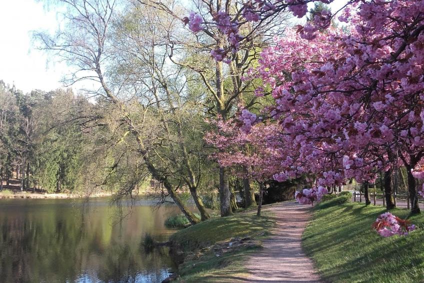 LES BRIMBELLES - foto 21