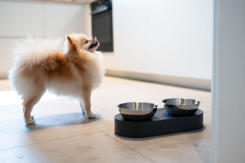 House 756 Mainz - foto 8