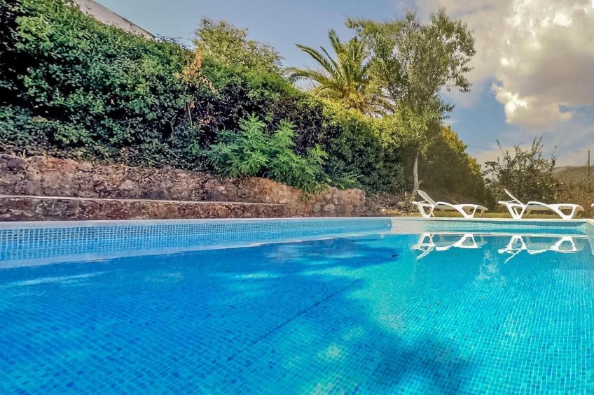 Cortijo Las Palomas - foto 11