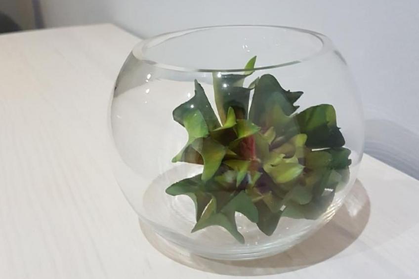 Entrevias Unterkunft und weitere Wohnungen in León - foto 18