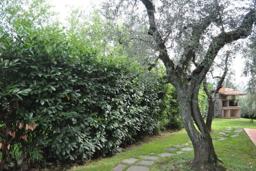 Wohnung mit Terrasse und Pool - foto 15