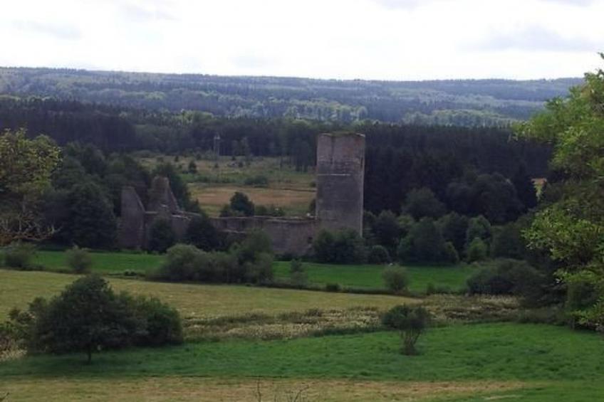 Naturblick - foto 18