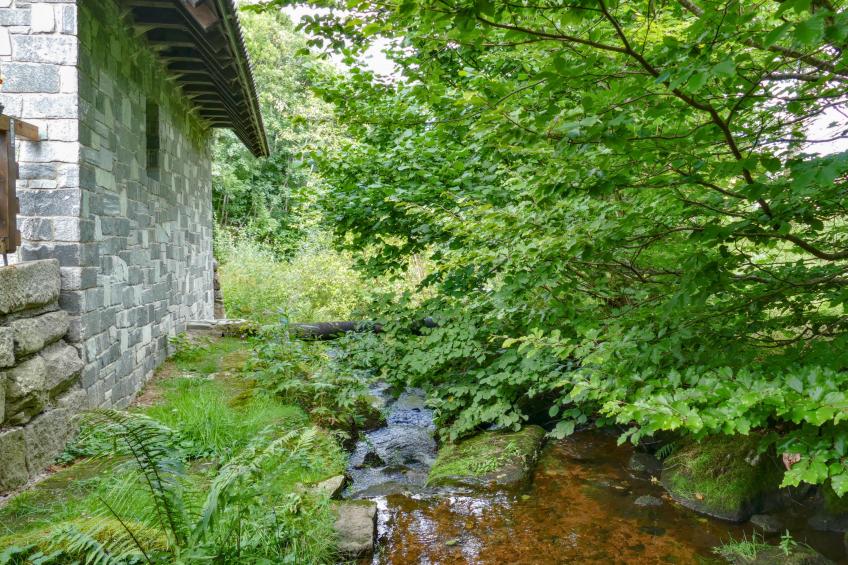 Alte Muehle - foto 20